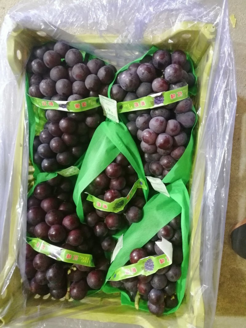 北镇冷库巨丰葡萄，四斤黑箱，小白箱火热热销中，质量好