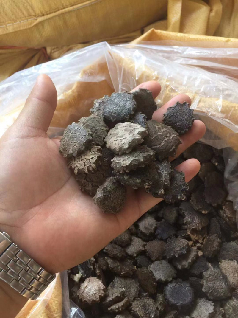 木憋子干货2020年的货白肉you