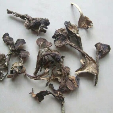 茄子蒂把各种规格可搭配多品种采购大货联系客服