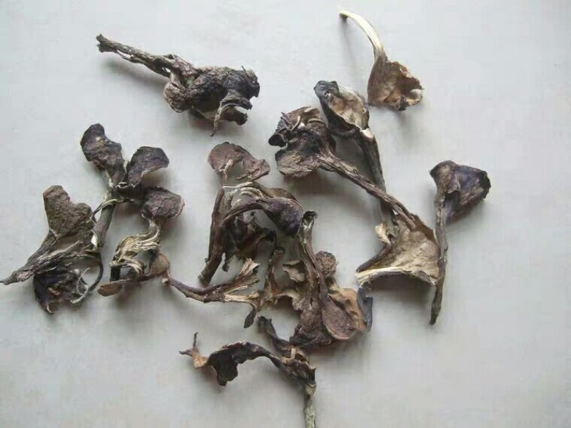 茄子蒂把各种规格可搭配多品种采购大货联系客服