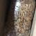 麦干虾小虾干白虾一件18斤