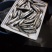 无病无伤，可发空运，快递，大客车