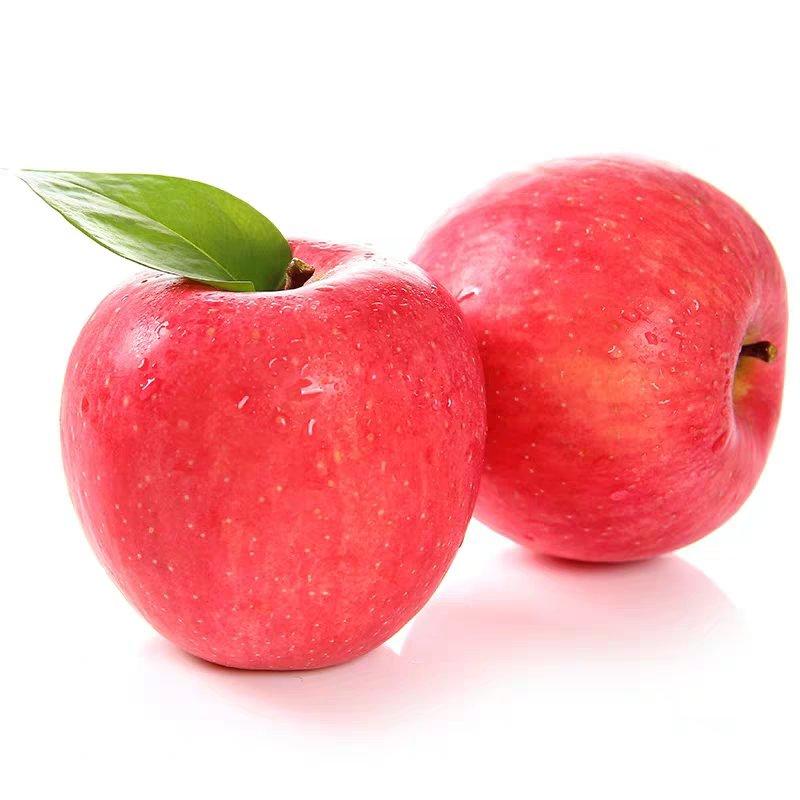 山东苹果水晶红富士苹果大量上市货源充足保证质量