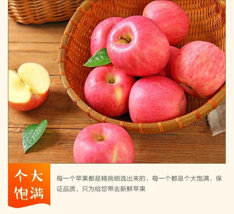 山东苹果水晶红富士苹果大量上市货源充足保证质量