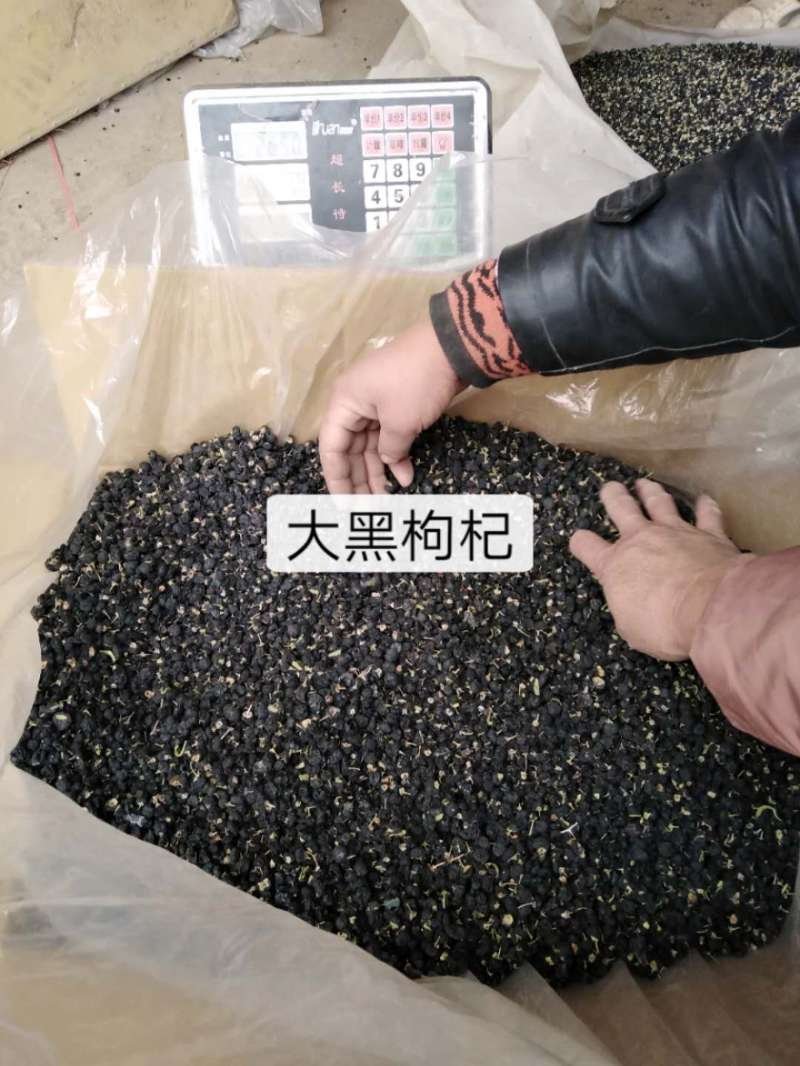 新疆特产黑枸杞子正品野生黑枸杞
