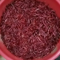 三撄干辣椒