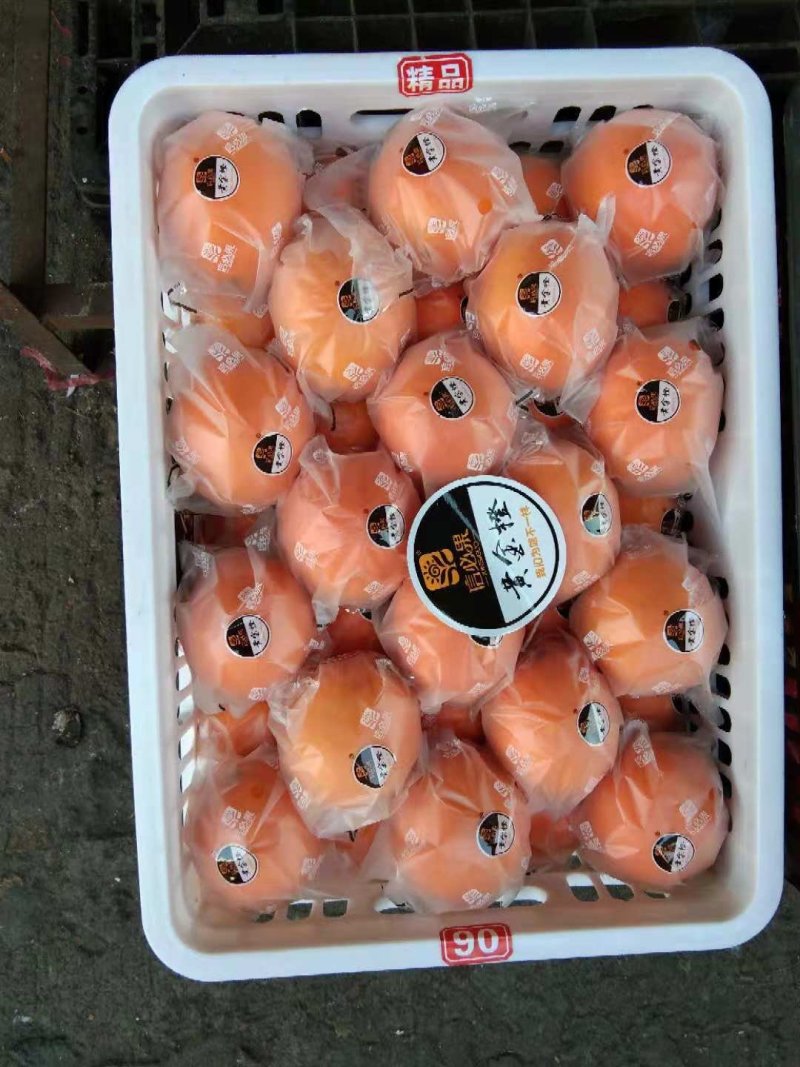 秭归长虹，圆虹，九ll7红，红橙，纽荷尔，大量上市了