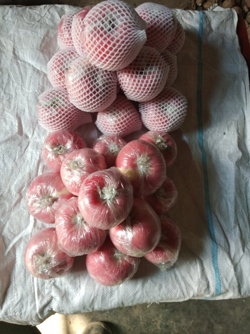 纸加膜红富士水晶冰糖，脆甜可口整车代发，产地直销
