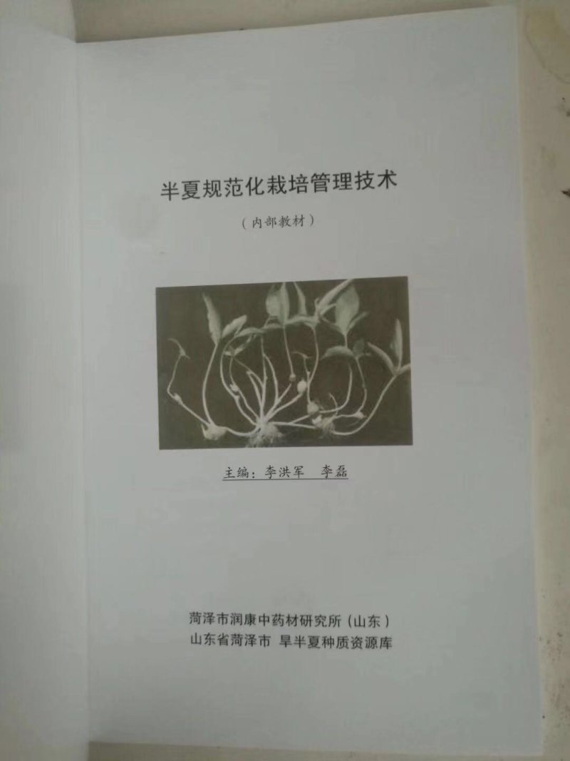 半夏种子播种机，中药材种苗播种机