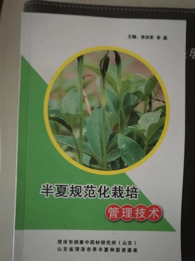 半夏种子播种机，中药材种苗播种机