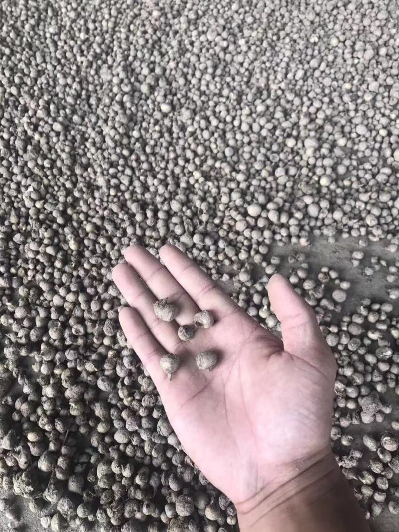 半夏种子播种机，中药材种苗播种机