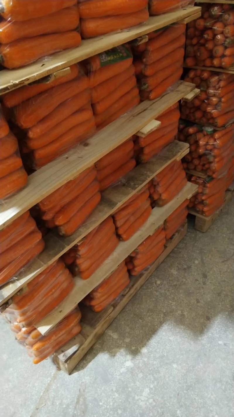 【规格多样】胡萝卜大红二红大头中条小条次品一手货源