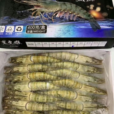 【产地直销】纯正野生黑虎虾支持验货常年供货