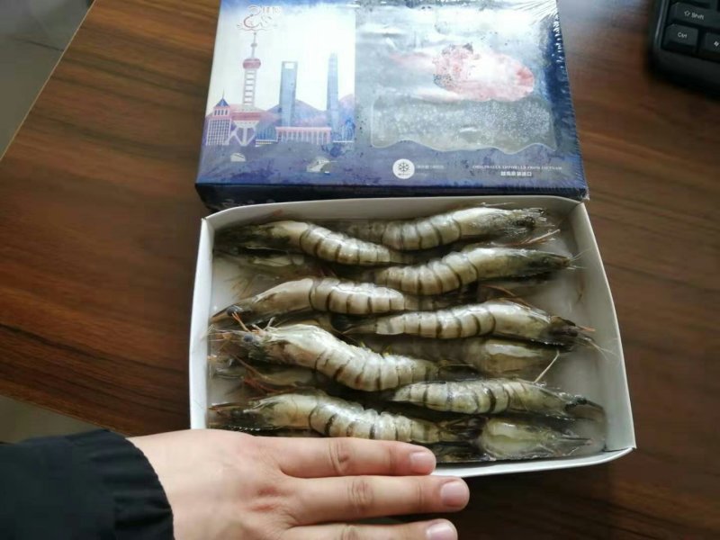 【产地直销】纯正野生黑虎虾支持验货常年供货