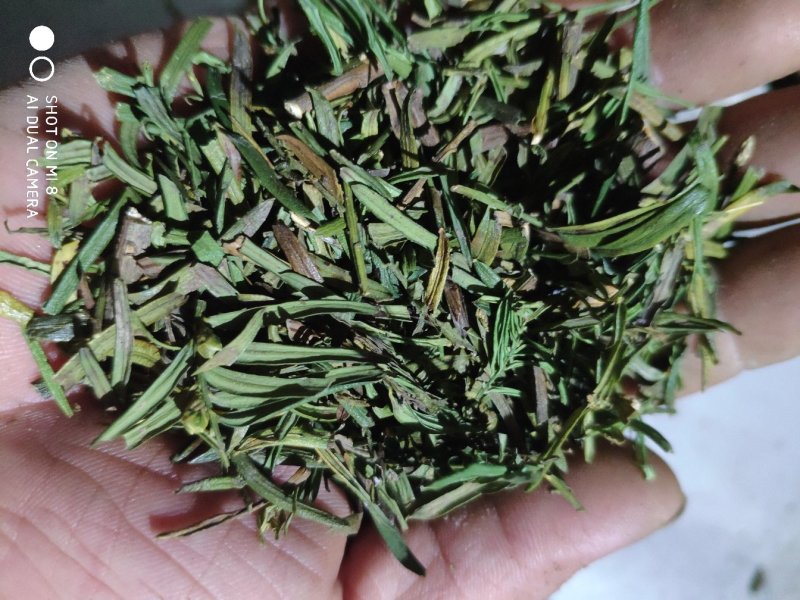 红豆杉根茎叶果