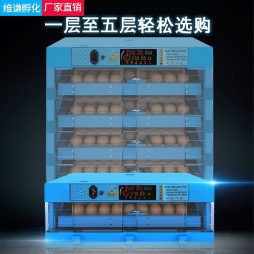 自动小型家用型鸡鸭鹅孵蛋器160元为手动水床32枚鸡蛋