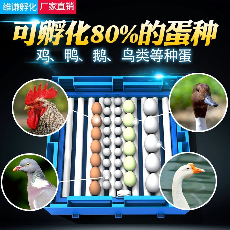 自动小型家用型鸡鸭鹅孵蛋器160元为手动水床32枚鸡蛋