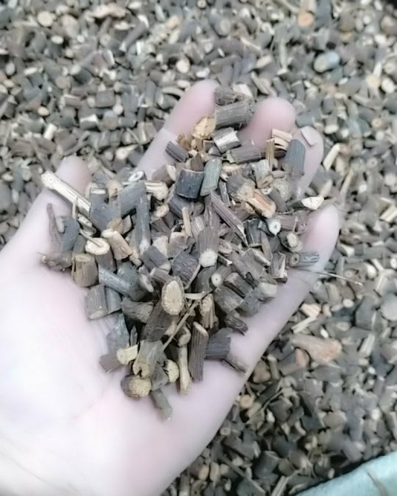 桂枝千余品种供应承接订单