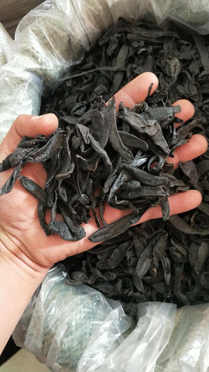 中药材水蛭小水蛭干蚂蟥烫水蛭粉吊干清水菲牛蛭
