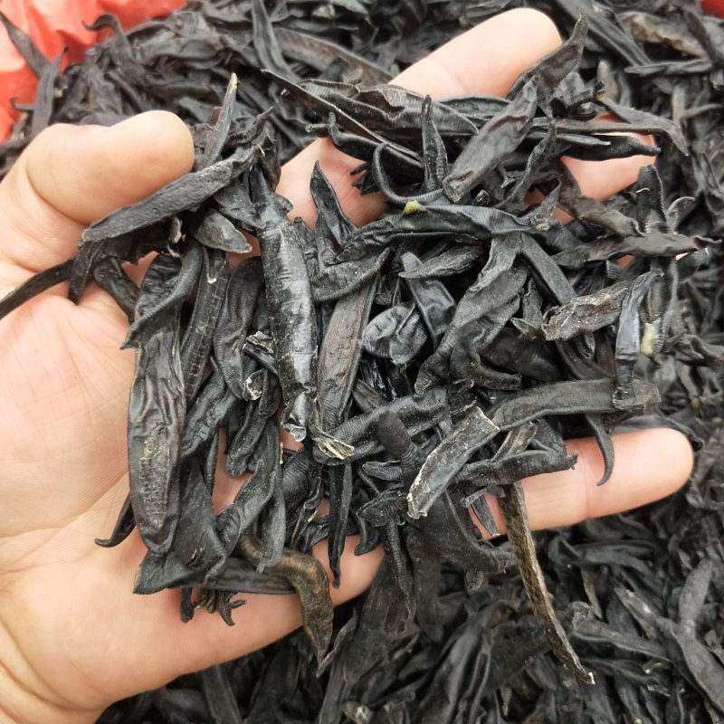 中药材水蛭小水蛭干蚂蟥烫水蛭粉吊干清水菲牛蛭