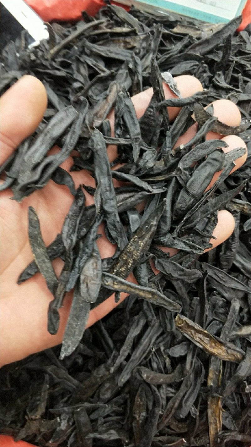 中药材水蛭小水蛭干蚂蟥烫水蛭粉吊干清水菲牛蛭
