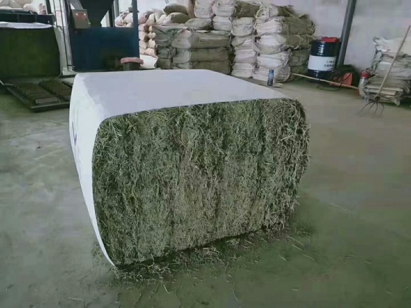 进口苜蓿草国产苜蓿草加密大包苜蓿草350公斤