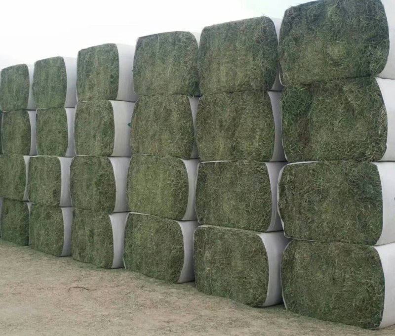 进口苜蓿草国产苜蓿草加密大包苜蓿草350公斤