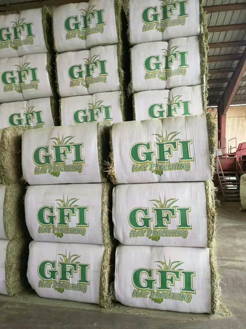 进口苜蓿草国产苜蓿草加密大包苜蓿草350公斤