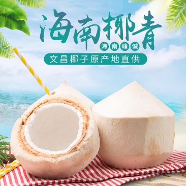 海南新鲜椰青