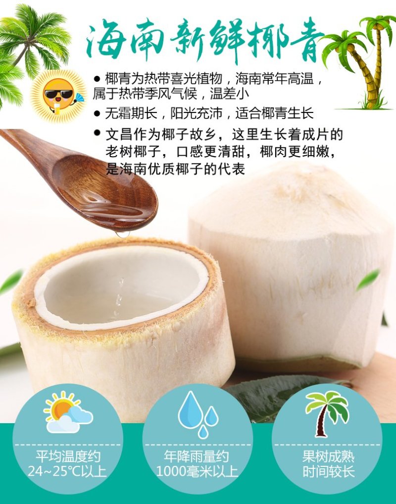 海南新鲜椰青