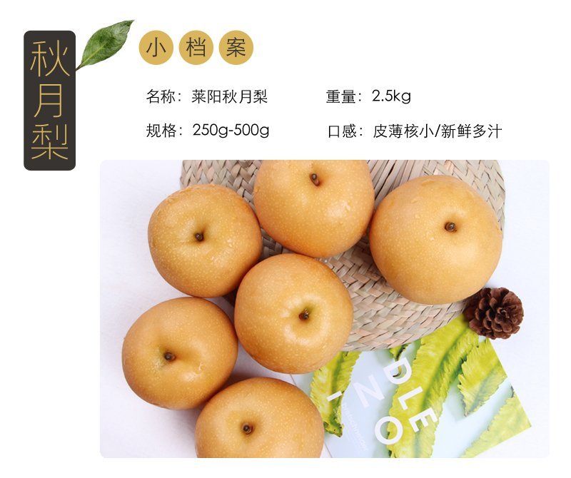 山东秋月梨