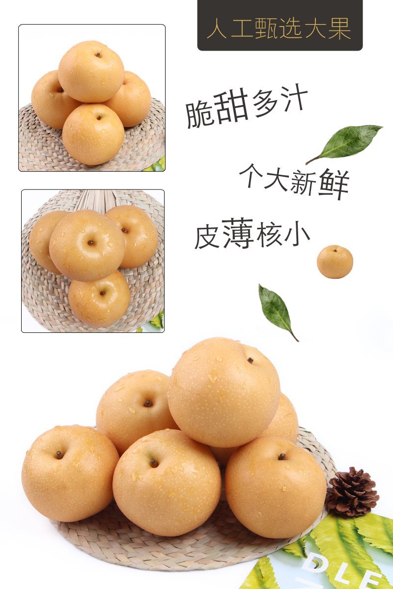 山东秋月梨