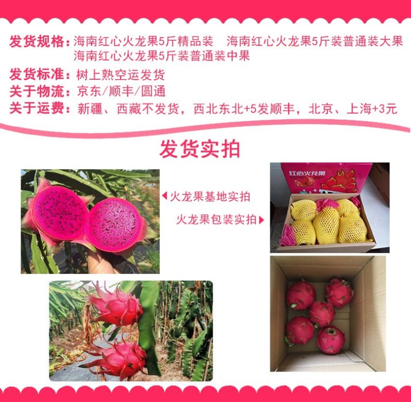 海南红心火龙果