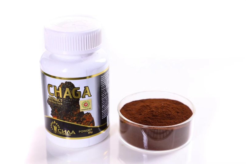 桦树茸蒸馏提取俄罗斯西伯利亚桦树茸白桦茸桦树黄黑晶
