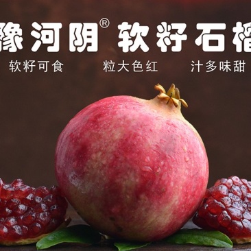 突尼斯软籽石榴
