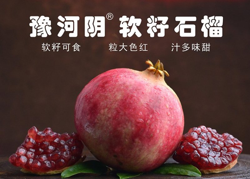 突尼斯软籽石榴