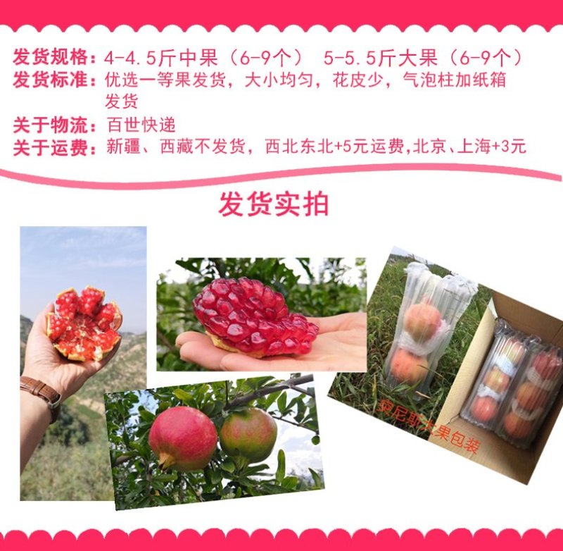 突尼斯软籽石榴
