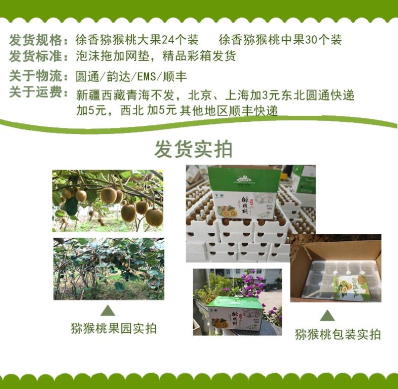 红心猕猴桃