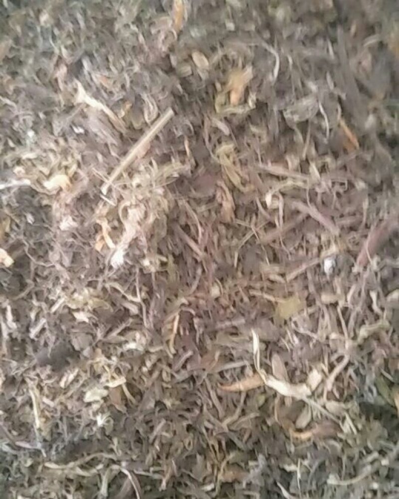 甘松统货，甘松根，甘松水洗，甘松叶