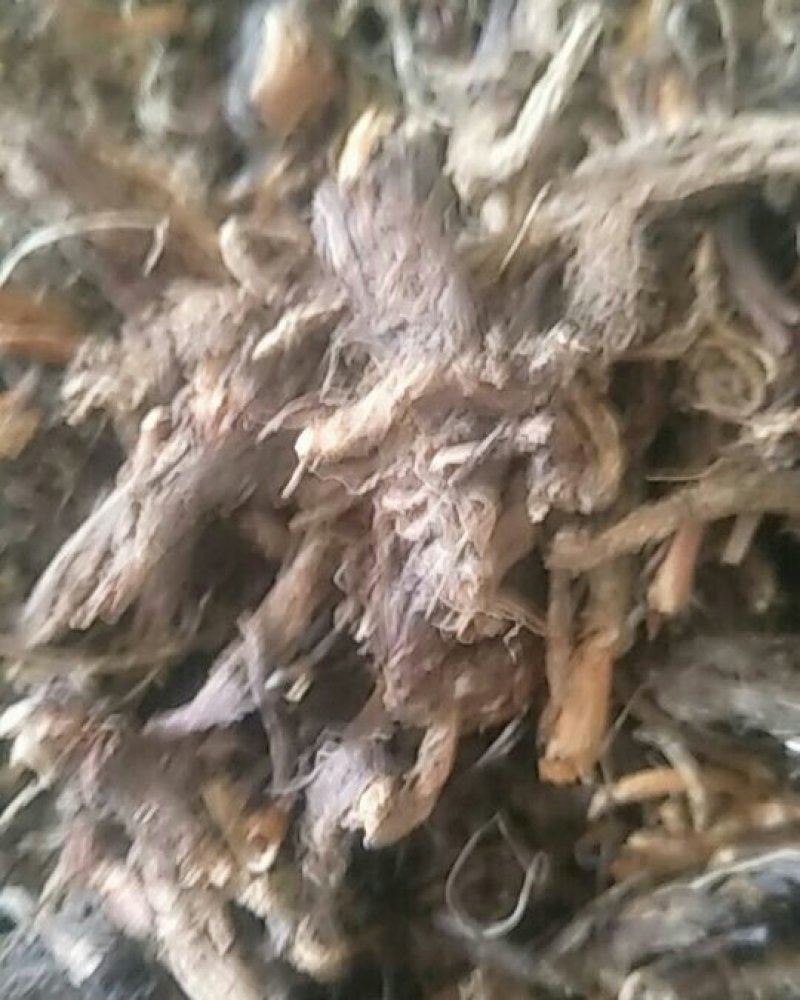甘松统货，甘松根，甘松水洗，甘松叶