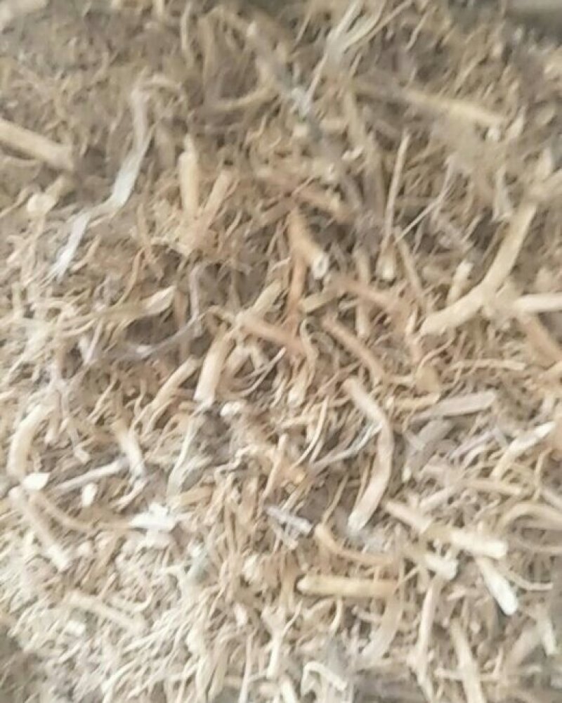 中药根茎类
