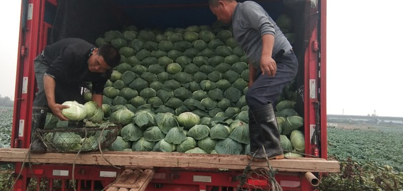 奥奇娜，产地直销，供应到明年，货源充足，合作共赢！