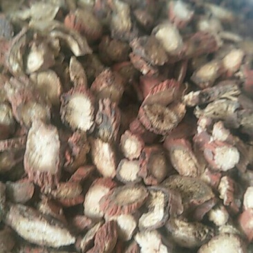 中药根茎类
