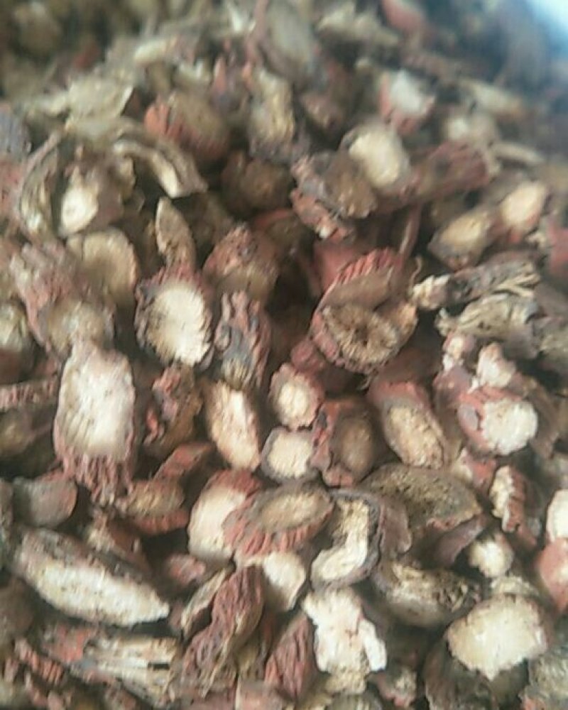 中药根茎类