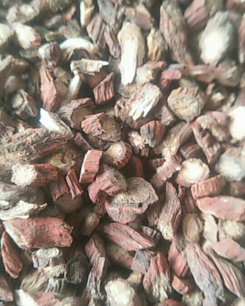 中药根茎类
