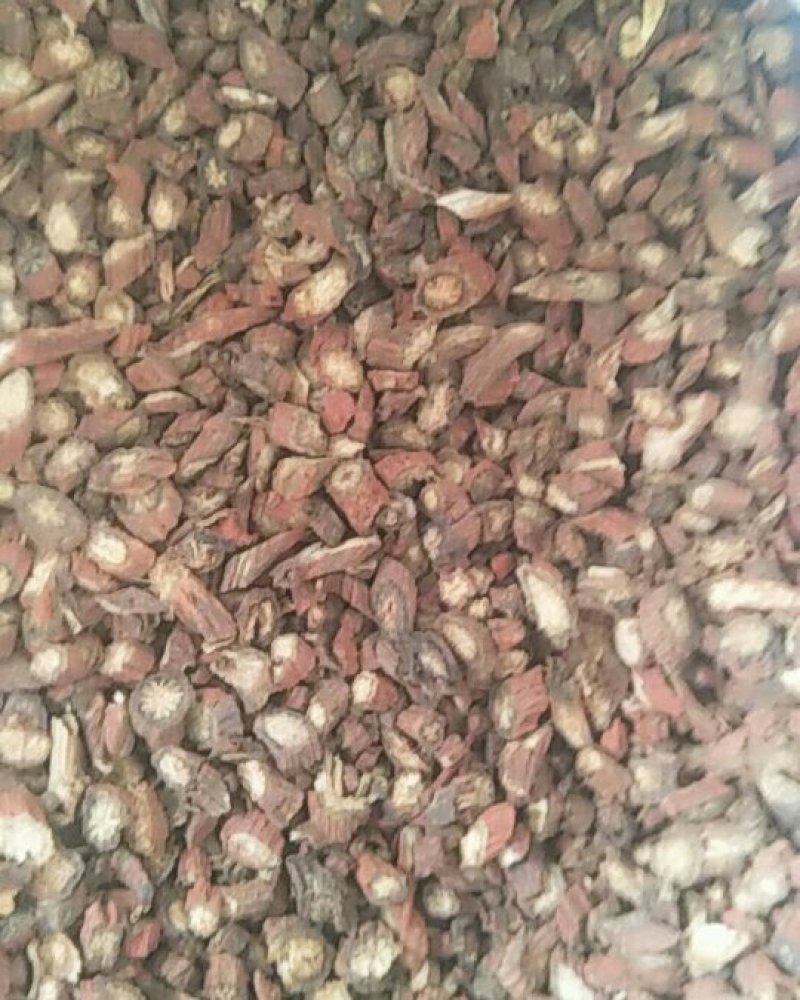 中药根茎类