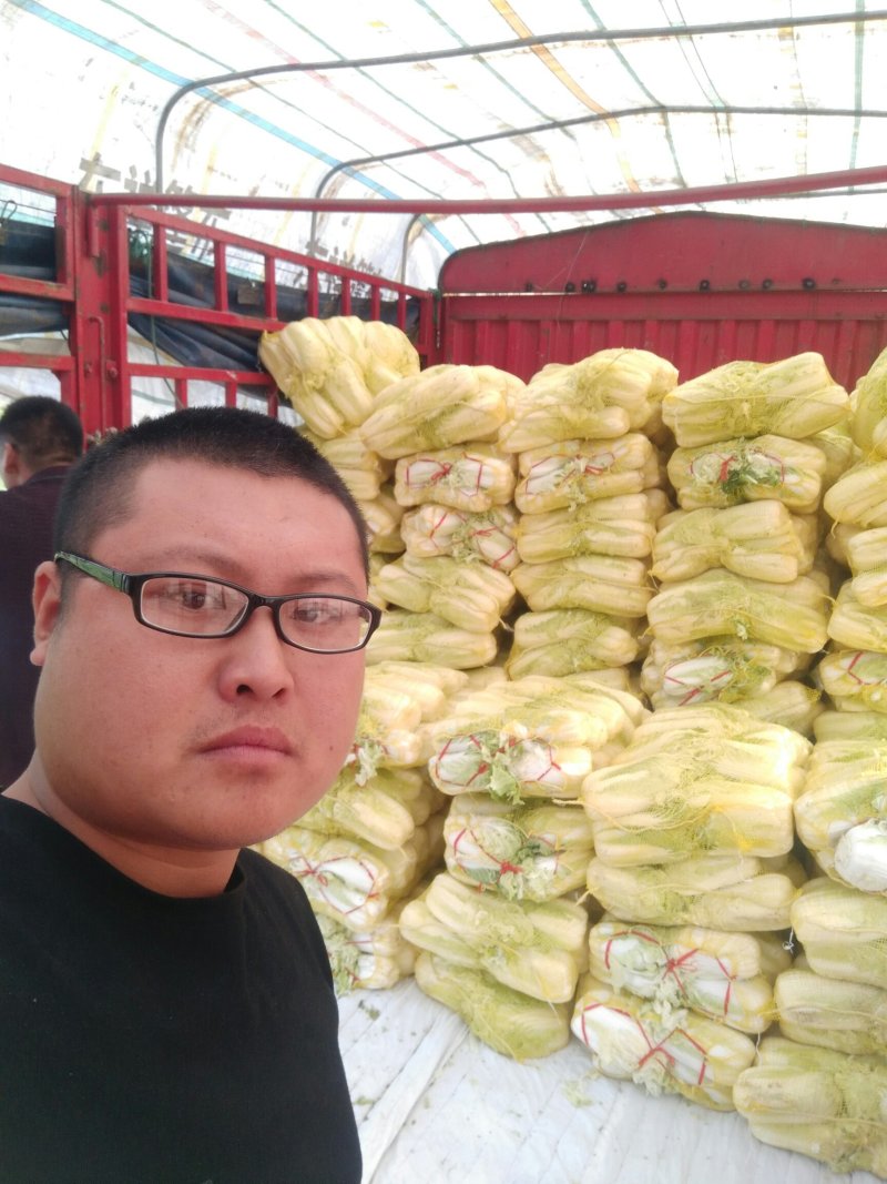 河南冷库库存黄心娃娃菜大娃小娃精包装质量不错大量上求合作
