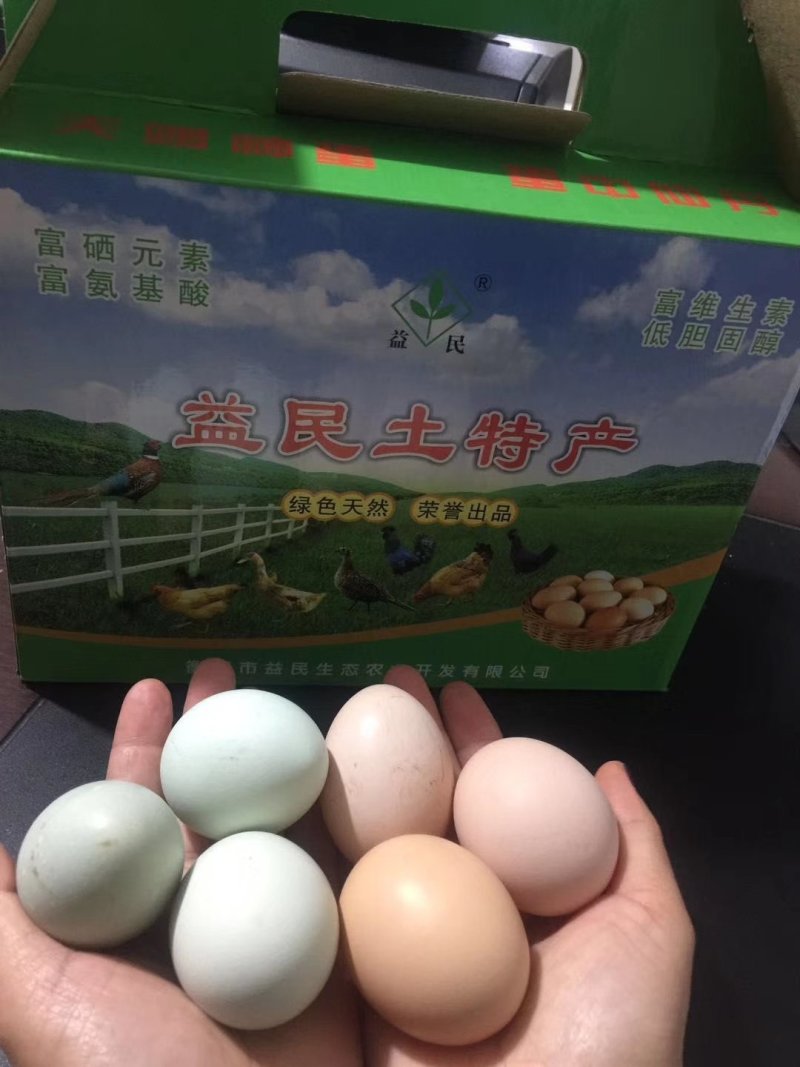 种蛋/商品蛋/麻羽高产绿壳种蛋/五黑绿壳种蛋