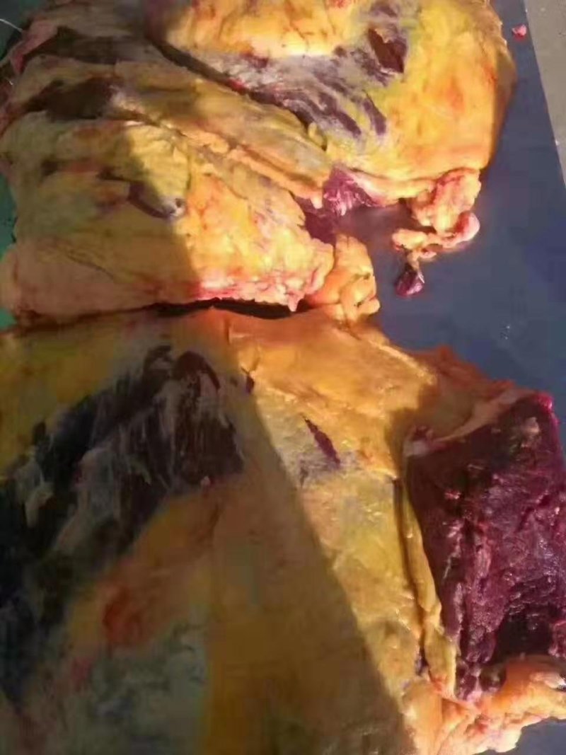 内蒙古锡林郭勒黄牛肉，纯草饲十斤一块，