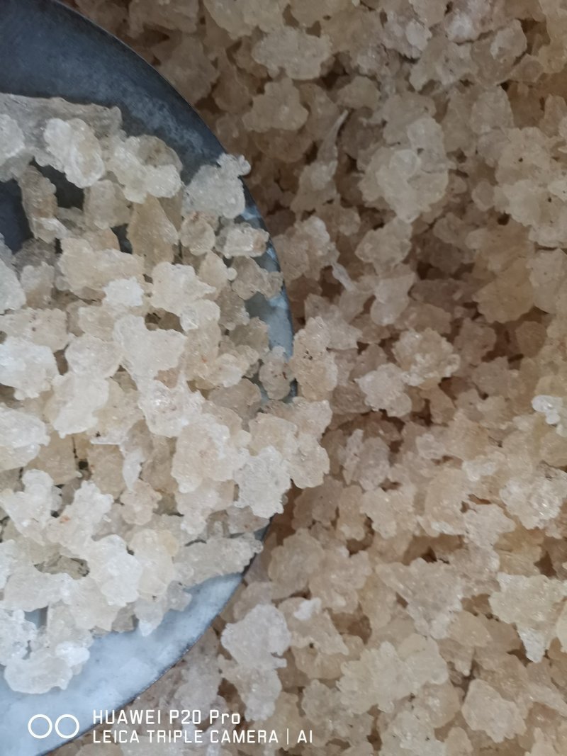 雪燕